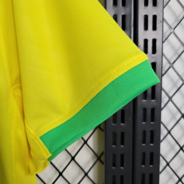 Maillot Femme Brésil 2024/2025 Domicile-Edition spéciale-Maillot Femme manche courtes-Jaune (Copie)