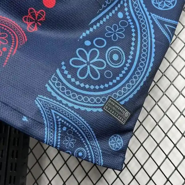 Maillot FC Barcelone 24/25 – Maillot Édition Spéciale Bicolore