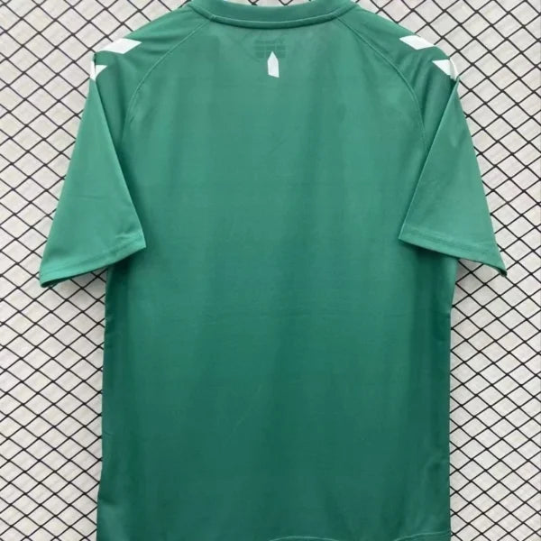 Maillot Everton FC 2024/2025 – Maillot Édition Spéciale Homme