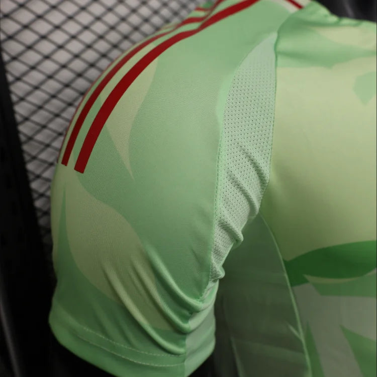 Maillots Homme Extérieur Italie 25/26 Vert S-XXL