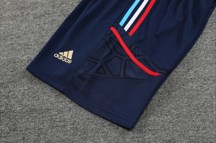 Maillots Homme Entraînement Arsenal 2023/2024 Bleu foncé S-XXL