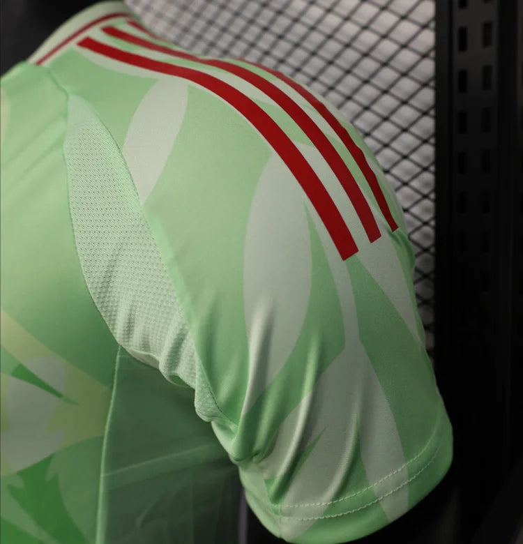Maillots Homme Extérieur Italie 25/26 Vert S-XXL