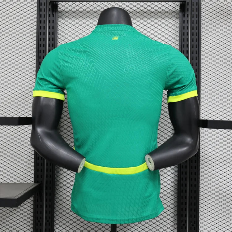Maillots Homme Extérieur Sénégal 24/25 Vert S-XXL