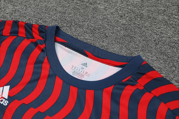 Survêtement Entraînement Bayern 23/24 Rouge