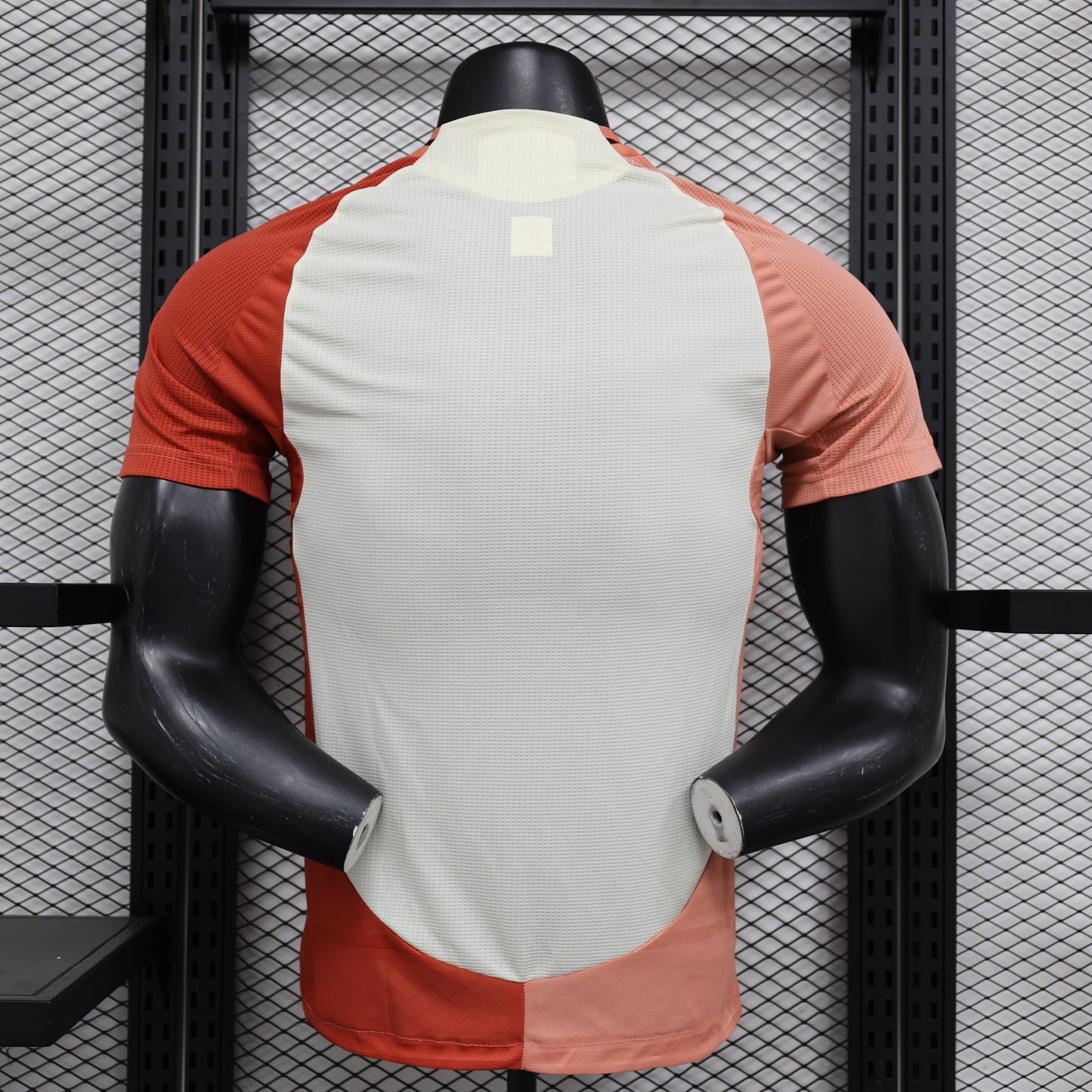 Maillot OL 2024/2025 Third édition