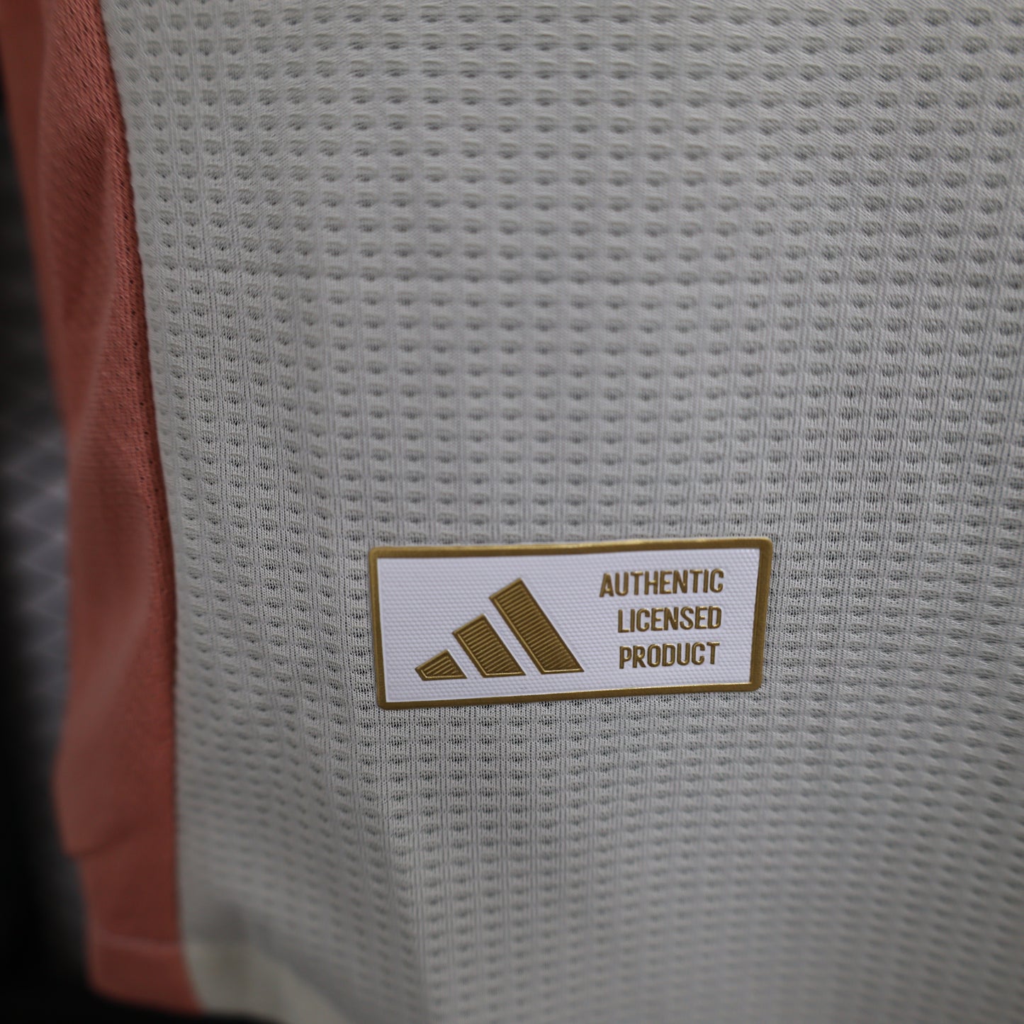 Maillot OL 2024/2025 Third édition