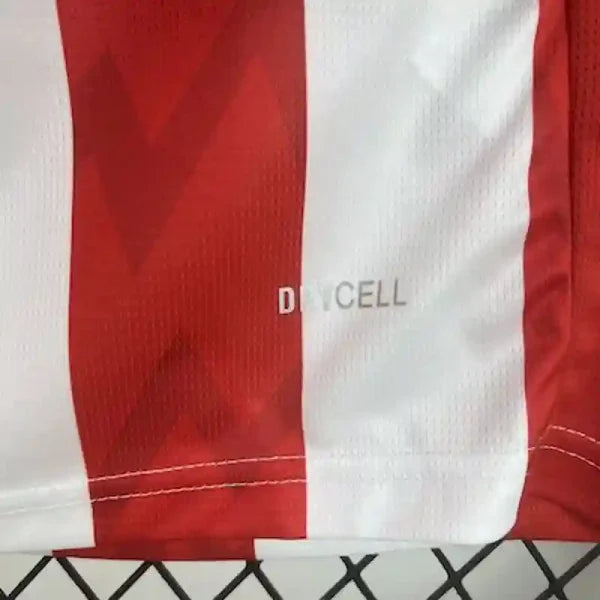 Maillot PSV Eindhoven 2025/2026 – Maillot Home (Domicile)-Autre