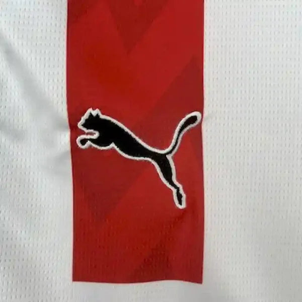 Maillot PSV Eindhoven 2025/2026 – Maillot Home (Domicile)-Autre