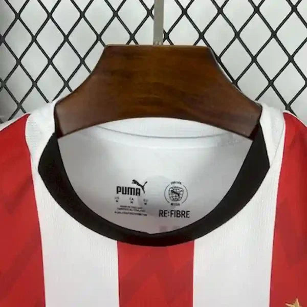 Maillot PSV Eindhoven 2025/2026 – Maillot Home (Domicile)-Autre