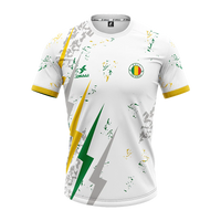Maillot Mali 2025/2026- Extérieur-Édition spécial Fan supporters