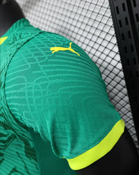 Maillots Homme Extérieur Sénégal 24/25 Vert S-XXL