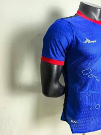 Maillot Cap-Vert 2025 2026- Domicile