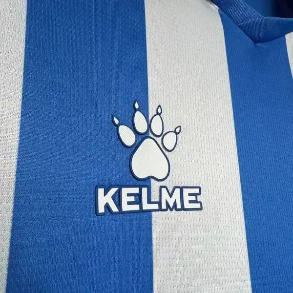Maillot RCD Espanyol 2024/2025 – Domicile – Homme