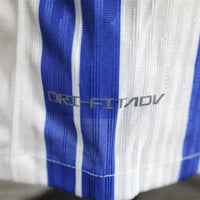 Maillot Brighton &amp; Hove Albion 2024/2025 – Maillot Domicile