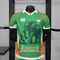 Maillot Cote d'ivoire 2025/2026- Edition spéciale "Elephants"