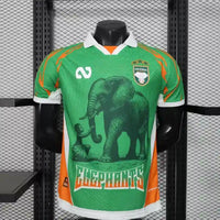 Maillot Cote d'ivoire 2025/2026- Edition spéciale "Elephants"