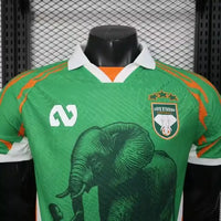 Maillot Cote d'ivoire 2025/2026- Edition spéciale "Elephants"
