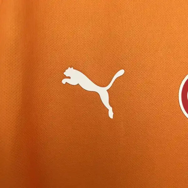 Maillot Galatasaray SK 2025/2026 – Maillot Domicile-Autre