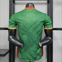 Maillots Homme Domicile Cameroun 2025/2026 Vert S-XXL