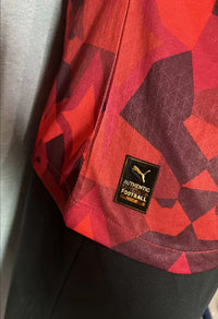 Maillots Homme Domicile Maroc 23/24 Rouge
