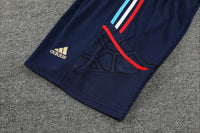 Maillots Homme Entraînement Arsenal 2023/2024 Bleu foncé S-XXL