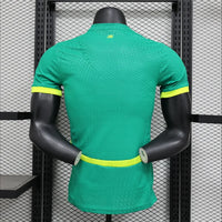 Maillots Homme Extérieur Sénégal 24/25 Vert S-XXL