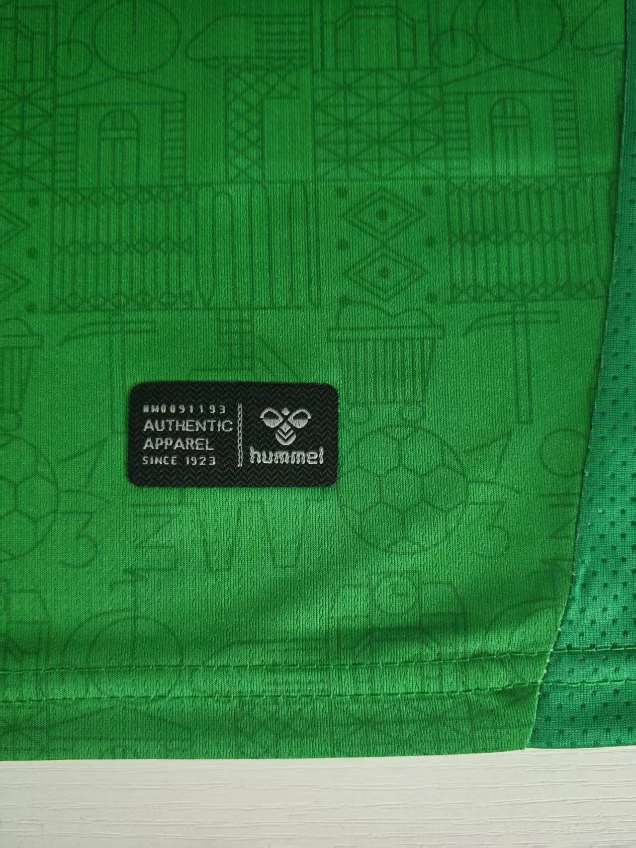 Maillot Saint-Étienne-2025/2026-Domicile  Hommes-Manches courtes-