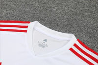 Maillots Homme Domicile Bayern 23/24 Blanc
