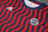 Survêtement Entraînement Bayern 23/24 Rouge