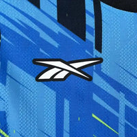 Maillot Gardien Botafogo 2025/2026 – Bleu Électrique – Aura 90 Edition