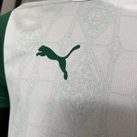 Maillot Palmeiras-extérieur -2025/2026
